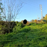 1350-متر-زمین-واقع-در-مهدیرجه