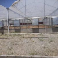 نصب تجهیزات مرغداری و گلخونه و خرید اجناس دست دو