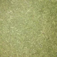 نعناع خشک