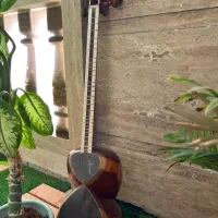 فروش|سازهای سنتی|جم, |دیوار