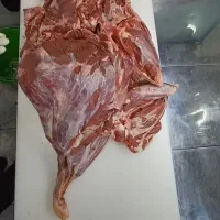 گوشت گوساله تازه