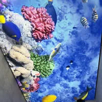 سقف‌کاذب‌سقف‌سرویس‌سقف‌استخر‌کشسان‌آسمان‌مجازی