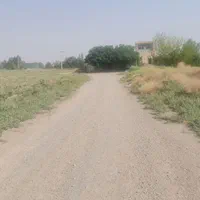 با شرایط فوق العاد صاحب زمین سند۶ دانگ شوید|فروش زمین و ملک کلنگی|جعفرآباد, |دیوار