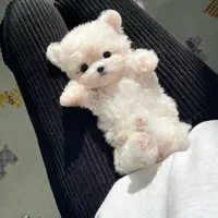 توله سگ ۶۵۰۰ اورجینال