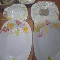 سرویس آرکوپال طرح پاییزی