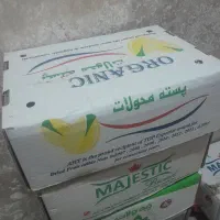 پسته تازه قیمت مناسب