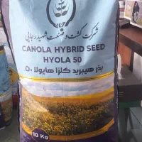 فروش آزاد بذر هیبرید هایولا ۵۰ و بذر بهاران