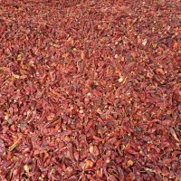 تولیدو پخش ادویه و چاشنی جات|عمدهفروشی|تربتحیدریه, کاشانی|دیوار