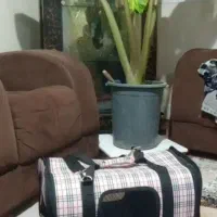 کیف حمل سگ و گربه|لوازم جانبی حیوانات|کرج, خرمدشت|دیوار