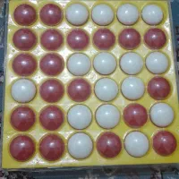 بازی فکری جذاب اتللو Othello