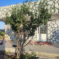 باغ با ویلا