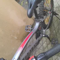 دوچرخه گالانت سایز ۲۴|دوچرخه، اسکیت، اسکوتر|رودسر, |دیوار