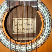 گیتار   Pao Chia     به همراه کیف|گیتار، بیس، امپلیفایر|مشهد, هفت تیر (آب و برق)|دیوار