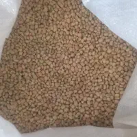 فروش لوبیا اشی درجه یک