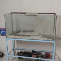 آکواریوم همراه با شن و ماسه