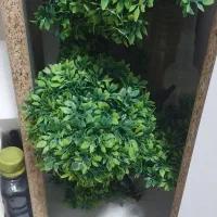 آکواریوم|ماهی|چهاردانگه (تهران), |دیوار