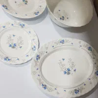 سرویس ۱۲ نفره آرکوپال