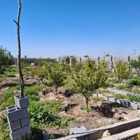 فروش باغچه ۱۰۰۰ متری|فروش خانه و ویلا|اندیمشک, |دیوار