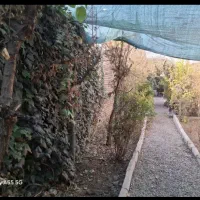 باغ اجاره ایی