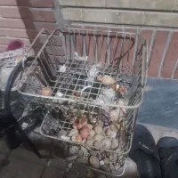 استند قابلمه و سیب‌زمینی پیاز هر دو باهم