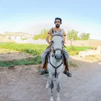 اسب|اسب و تجهیزات اسب‌سواری|خواف, |دیوار