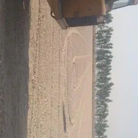 تسطیح لیزری|خدمات باغبانی و درختکاری|شوشتر, |دیوار