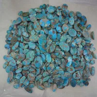 فیروزه نیشابوری ( بار خونه )