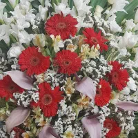 تاج گل|گل و گیاه طبیعی|تهران, اقدسیه|دیوار