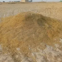 کاه