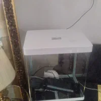 آکواریم شیشه خم شرکتی