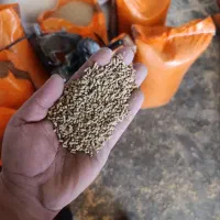 دان مرغ تخم گذار