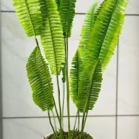 درختچه|گل مصنوعی|سنندج, |دیوار