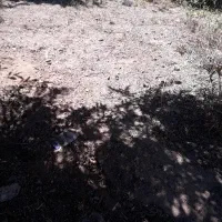 فروش زمین  به قیمت فوق العاده اقساطی