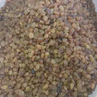 کشمش پلویی درجه ۱