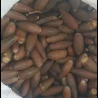 خریدار بلوط هستم