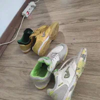 کتونی سالنی ۴۳