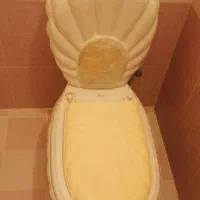 توالت فرنگی