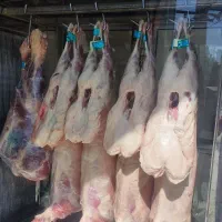 گوشت نرنده کالا برگ|خوردنی و آشامیدنی|کرمان, |دیوار