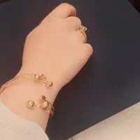 بدلیجات اماراتی|بدلیجات|بندر ماهشهر, |دیوار