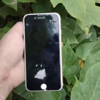 ایفون 6s 64|موبایل|اهواز, شهرک پیام|دیوار