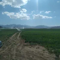 فروش زمین کشاورزی