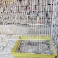 قفس پرنده