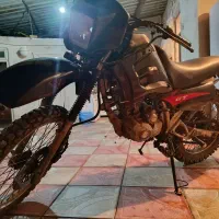 موتور مزایده ترل