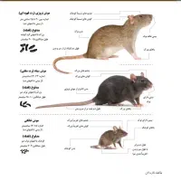 خدمت گذاری شرکت سمپاشی معتبر