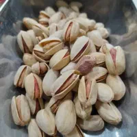 پسته واجیل تخم کدو و افتابگردان.شکر