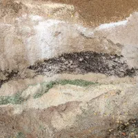خورا‌ک|لوازم جانبی حیوانات|جنگل, |دیوار