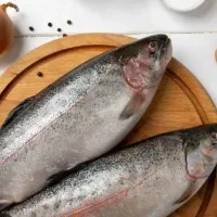 ماهی قزل آلا چکی