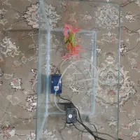 آکواریوم شیشه خم در حد و سالم