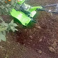 خدمات باغی صفرتاصد باتحصیلات عالی دراین زمینه|خدمات باغبانی و درختکاری|آمل, |دیوار