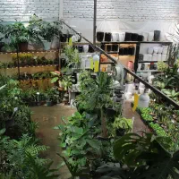 گل-گلخانه-گلخونه